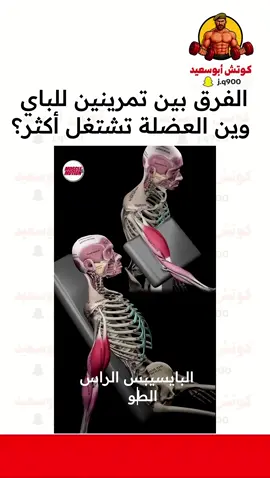 تمرينين لعضلة الباي وشرح الاختلاف بينهم #كمال_اجسام #اكسبلور 