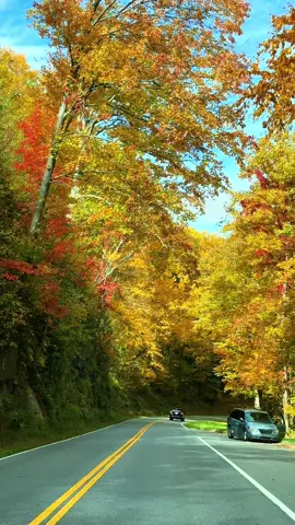 #greatsmokeymountains #roadtrip #fall2024 #countrymusic #alanjackson @Visit Gatlinburg 