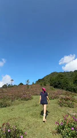 Một nơi thơ mộng tại Sapa . Bạn đã đến nơi này chưa 🥰#sapa #vuonquocgiahoanglien #chill #canhdepvietnam 