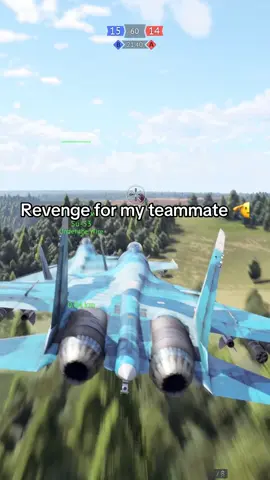 Revenge story #warthunder #warthundervideo #warthunderaviation #gaming #fyp @xowRey / War Thunder 