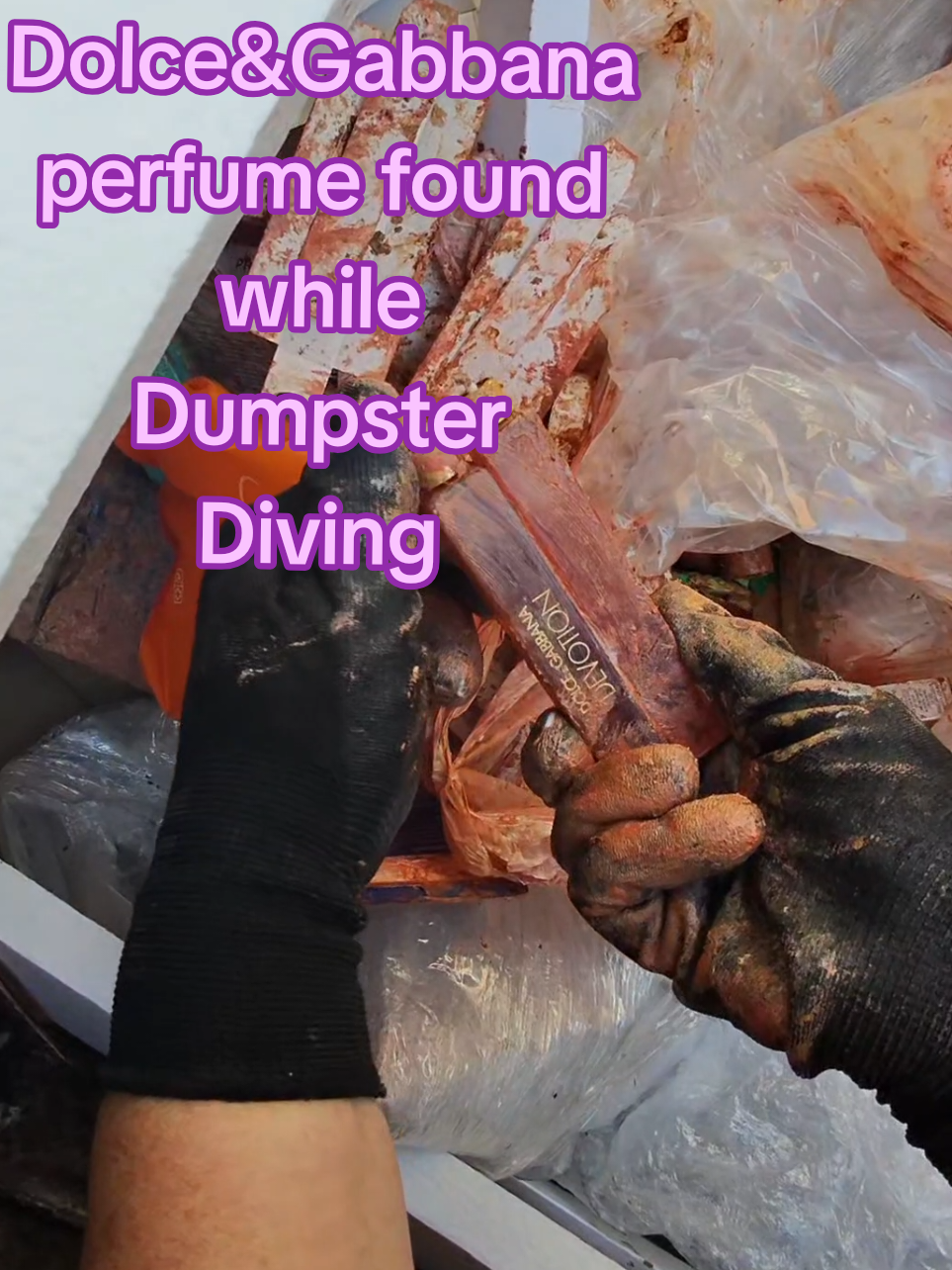 #dumpsterdiving #wow  #dumpsterdive  #dolcegabbana 