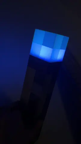 Torch light— or World Saving Power🤷‍♀️ #torchlight #nightlight #Minecraft #gamers #restock 