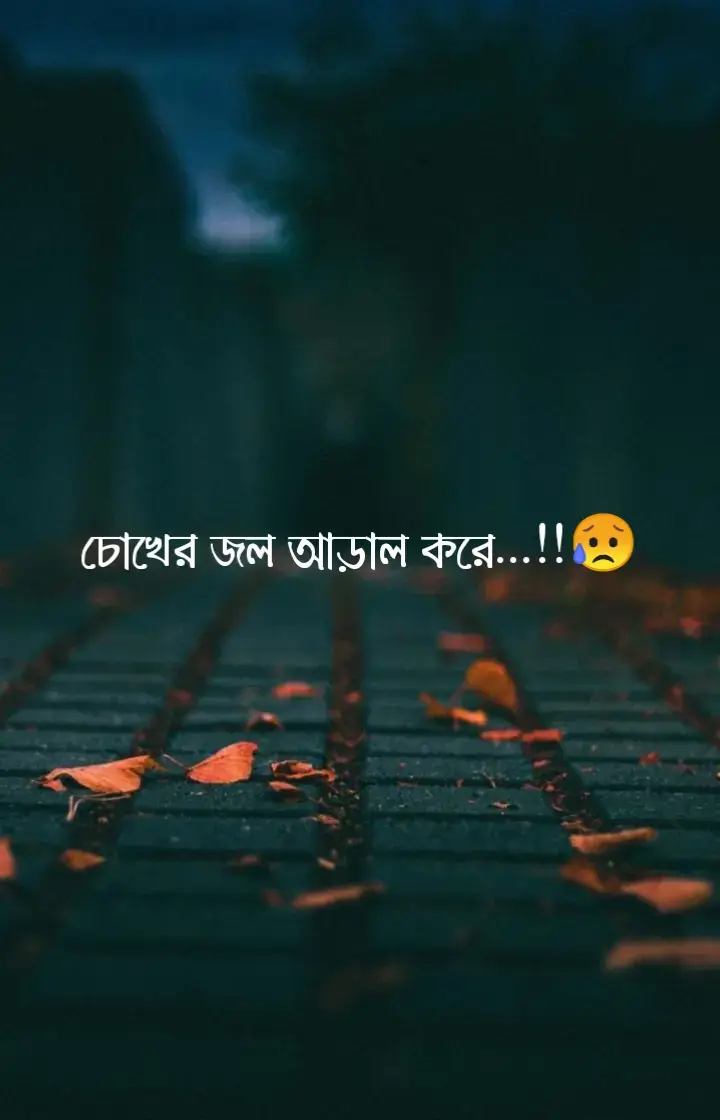দিলাম মিথ্যা হাসি, হাসি দেখে সবাই বিবেচনা করে আমি হয়তো ভালো আছি আসলে আমি ভালো নেই কারণ আমি আমার ভালোবাসার মানুষকে হারিয়েছি সে ছিল আমার কাছে রত্ন তাই করেছি যত্ন সে ছিল আমার পৃথিবী সে ছিল আমার স্বপ্ন তাকে হারিয়ে নিজে কে হারিয়ে ফেলেছি তাকে হারিয়ে আমার হাসিটাকে হারিয়ে ফেলেছি তাকে হারিয়ে আমার পৃথিবীটাকে হারিয়ে ফেলেছি তাকে হারিয়ে আমার স্বপ্নগুলো কে হারিয়ে ফেলেছি নিজের সবকিছু হারিয়ে থাকে ভালো থাকতে দিয়েছি কেননা ভালো লাগেনা আমি ভালোবাসা আমি চাই পৃথিবীর সকল সুখ তার হোক তবে আমার মৃত্যু হোক কারণ এই হাতটা যদি না রাখতে পারে তার হাতে বেঁচে থেকে লাভ নেই এই পৃথিবীতে আমি জানি মৃত্যুর কাছে তার দেওয়া কষ্ট কিছুই না তবে বর্তমানে মৃত্যুটা আমার কাছে শ্রেষ্ঠ সুখ...!!#foryoupage #terding #fypシ #subas #caption #       tiktok #@TikTok #@TikTok Bangladesh