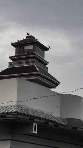 هُن مونکان پُڇو ته ڇا هاڻ توکي منهجي بلاڪ ڪرڻ نه ڳالهائڻ سان ڪو فرق نٿو پوي ؟  مسڪرائي چيم نه  چيئين ڇو؟ چيو مانس ته محبت ۾ پنهنجي نه سامهون واري جي خوشي ڏٺي ويندي آهي  محبت قرباني گهرندي آهي ءٍ آئون قرباني ڏيڻ لاءٍ تيار آهيان  ڇو ته آئون ڄاڻي چُڪو آهيان ته تنهنجي خوشي منهنجي دُور هجڻ ۾ هي آهي  ءٍ آئون تُنهنجي خوشي ڇو خراب ڪيان  ءٍ تون پُڇين ٿي فرق پوي ٿو يا نه ته ٻُڌ  فرق ته ڇا پر هاڻ آئون ڀلي مري به ونڃان تڏهن به تنهنجي زندگي ۾ نه ايندس  چاهي آئون زندگي ڀر تو لاءٍ سڪندو رهان تڙپندو رهان مگر هاڻ ڪڏهن تنهنجي سامهون نه ايندس تنهنجي خوشي جيڪر مونکان جُدا رهڻ ۾ آهي ته منهنجي دُعا آهي هاڻ پاڻ ڪڏهن نه ملون  ڇو ته مان توکي هميشه لاءٍ پاڻ سان گڏ چاهيو آهي مگر خوشي سان قيد ڪري نه  هاڻ تون آزاد آهين  آئون هاڻ نه ڪڏهن تنهنجي سامهون ايندس نه تنهنجي زندگي ۾ تون جيئن چاهين اُهين ڪر  آئون توکي ڪڏهن بددعا نه ڏيندس تون خوش رهو منهنجو خير آ  آئون ته تنهنجي يادن سهاري ئي زندگي گذاري سگهان ٿو مونکي ڪنهن ساٿي جي ضرورت ناهي منهنجو ساٿي منهجي تنهائي منهنجا درد تڪليفون آهن  اگر ڪڏهن منهنجو خيال اچئي ته ايترو ضرور سوچجين ته آئون هُئس ءٍ هاڻ تو مونکي ڇا ڪري ڇڏيو آهي  بس زندگي ۾ انسان پهرين محبت کي به وساري سگهي ٿو مگر شرت اهيا آهي جو اُها پهرين ءٍ آخري نه هُجي  مگر تُون منهنجي آخري محبت هُيئين برحال تُون خوش آهين منهنجي لاءٍ اهيو ڪافي آهي 🥹😩🌝 علي «««««#foryou #foryoupage #village #sufi #sindhisong 