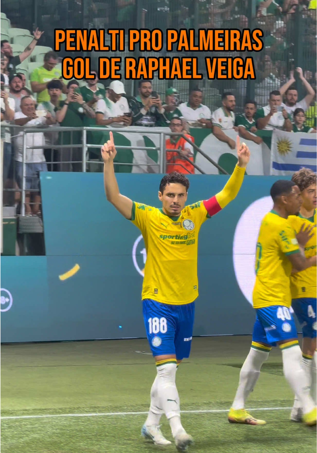 RAPHAEL CRAQUE VEIGA👑 #tiktokesportes #emjogo 