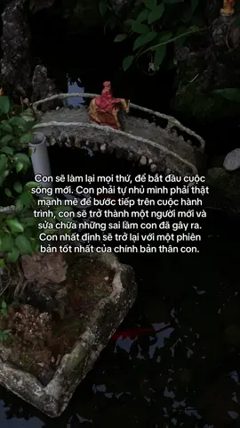 …#tamtrang #story 