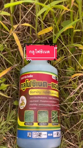 กลูโฟซิเนต สารกำจัดวัชพืชชนิดเผาไหม้ ขนาด1ลิตร #กลูโฟซิเนตแอมโมเนียม #ยาฆ่าหญ้า #สวนยาง #สวนปาล์ม #สวนทุเรียน 