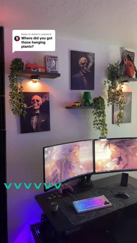 Replying to @Aiden they are 40% off too #room #cozy #plants #hangingplants #tiktokmademebuyit 