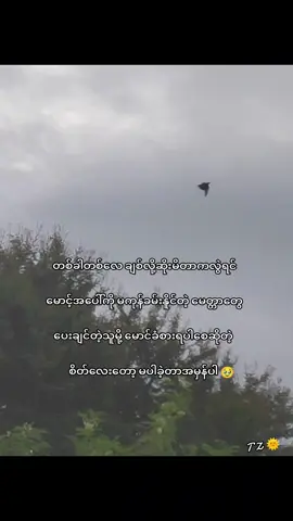 ခံစားရပါစေဆိုတဲ့စိတ်လေးတော့မပါခဲ့တာအမှန်ပါ🥹@🌻ဖွားနွယ်လေးမူပိုင်🌻 #fypシ #foryou #fypシ゚viral #foryoupage #fyppppppppppppppppppppppp 