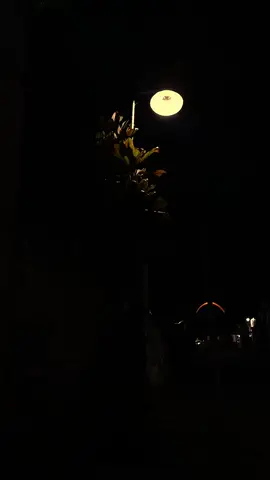 _Ikhlas itu berat, ikhlas kadang penuh luka. Semoga dibalik luka yang diberi, ada bahagia yang datang kembali_ #quotesislam #banjaristory #sholawatnabi #pfypシ #gusilhampasuruan 