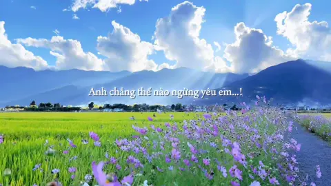 Anh chẳng thể nào ngừng yêu em...!#fyp #lyrics #09th02_8 #tamtrang #thinhhanh 