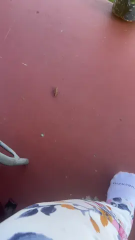 #LIVEIncentiveProgram #JustGoLIVE #PaidPartnership 