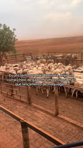 🙃🙃🙃  #ViralCut #cowboy #cowgirl #agropecuaria 