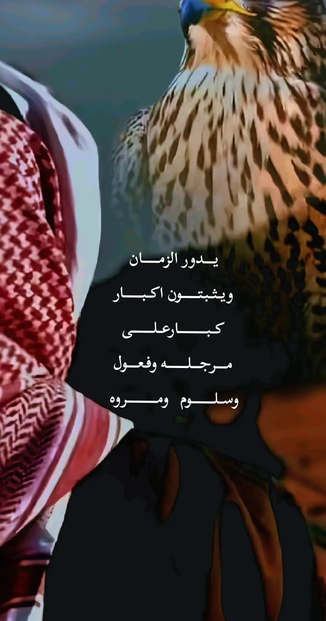 #اكسبلورexplor #اكسبلور 