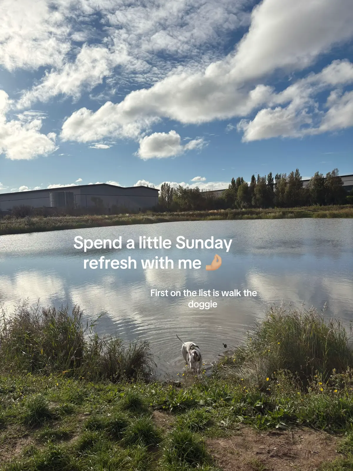 I did not take pics of the kitchen as it’s not pretty!!! #clean #spendthedaywithme #sundayreset #fyp #renovation 