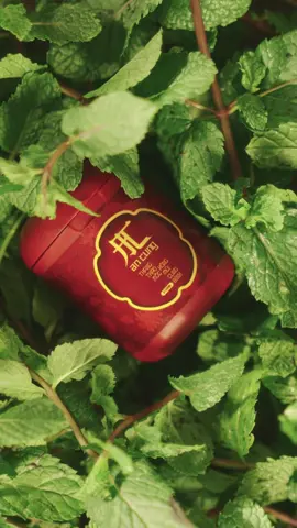 Xông Mũi An Cung - Hơi thở Cung đình. Tự hào Thuần Việt 🇻🇳🍂 #ancungbrand #tuhaohangviet #hangvietvuonminh #hitmuiancung 