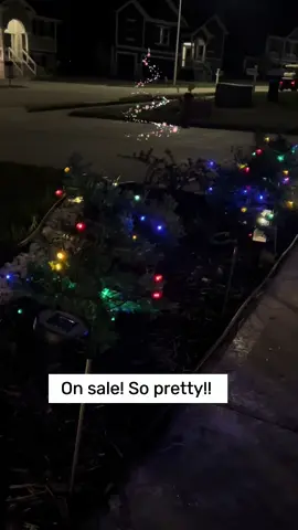 These little lit up trees are nice!! Very affordable too!! #christmastree #pathwaylights #solarlight 