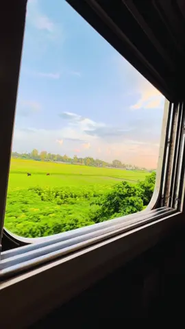 #traintravel একমাত্র ট্রেন জার্নিতেই মিশে যাওয়া যায় এমন প্রকৃতির সঙ্গে তুমি কী বলো? #trainvideo #railway #train #nature 