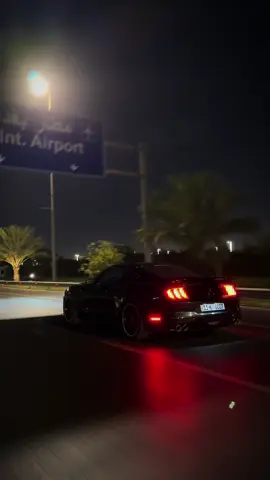 #mustang #fyp #viral #حنطور #بغداد #موستنك #foryou #bullittmustang #Gt #bullitt 