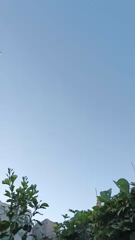 اذا غاب عنك من تحب تشعر وگأن العالم كله ظلام دامس 🌹🌹 #تصويري_سنابي_يومياتي♡ #ديالى #ياطيور_الطايرة #ابعث #سلامي 