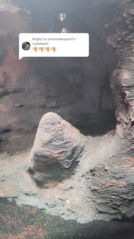 Replying to @ostseeleopard #fyp #cave2 #kingpuffy #aquascaping #fishtok 