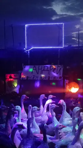 Андрей с днём рождения #деньрождения #андрей #рекомендации 