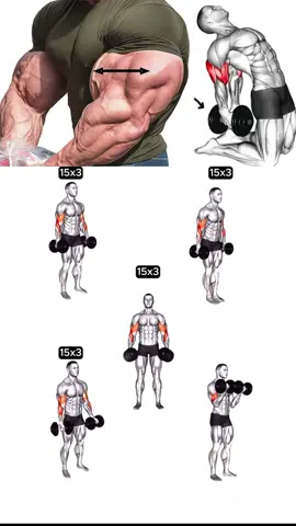 Complete arm dumbells workout 💪  #gym #ArmDay #biceps #Ironmuscle #fyp 