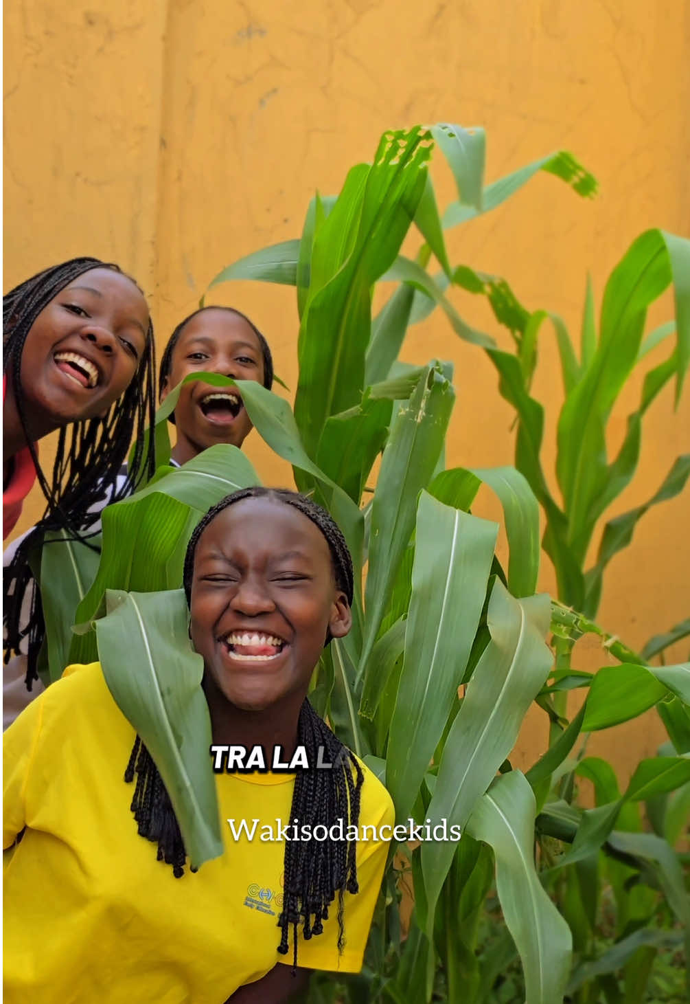 Brown girl in the ring @Boney M. #wakisodancekids #boneymmusic #browngirlinthering 