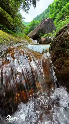 #الى اين أنت ذاهب في هذه الحياة......  #فيروز_الصباح_ماجدة_الرومي_خدني_حبيبي_اخر_ايام_الصيفية_الرحباني_عزف_بيا #موسيقى_عالمية_اجنبي_مشهورة_مميز #موسيقى_كاملة_طبيعة_بحر_عزف_رواق_هدوء_مميز_تركيا #صيف_خريف_تقلب_عصافير_صباح_نهر_منوعات_مميز @Sτσям🌪 