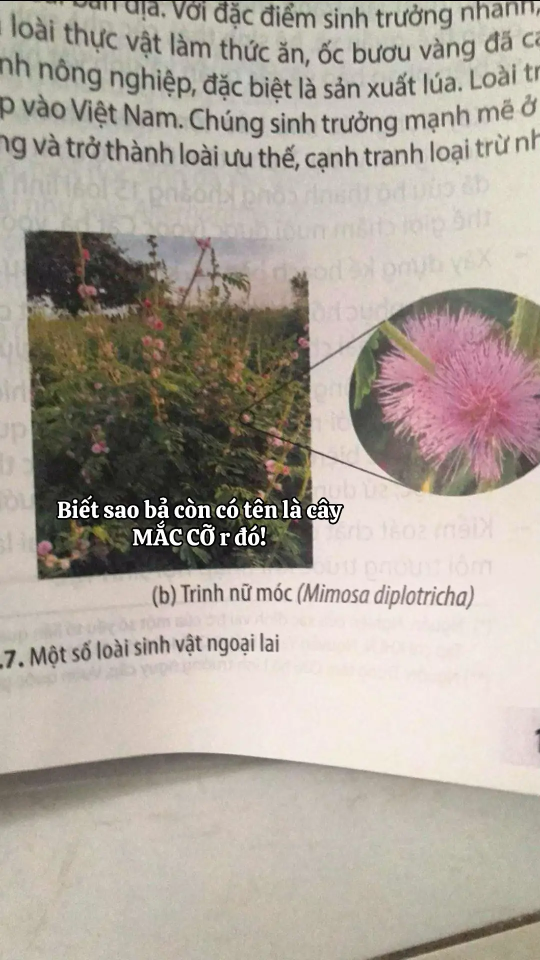 À à hiểu gồi hiểu gồi!!#12A3 #xuhuong #thptTanHiep #viral 