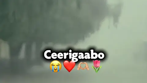 Alow Ha idiLin AnooN  Tagin Janada Bariga😭❤️#somaliland #ceerigaabo #somalitiktok 