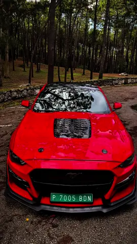 Make sure you buy a car... You can't stop looking at! #fordmustang #5 #mustang 