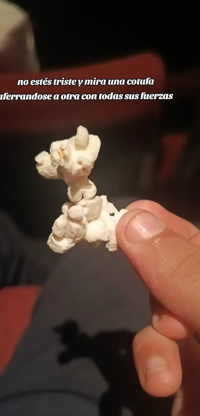 #LIVEIncentiveProgram #LIVECareer #PaidPartnership #paratiiiiiiiiiiiiiiiiiiiiiiiiiiiiiii #paratii 