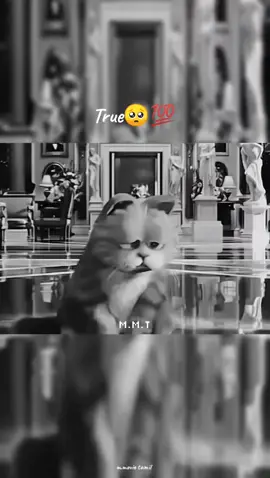 #True #feeling #tag #🥺💯 #tag 