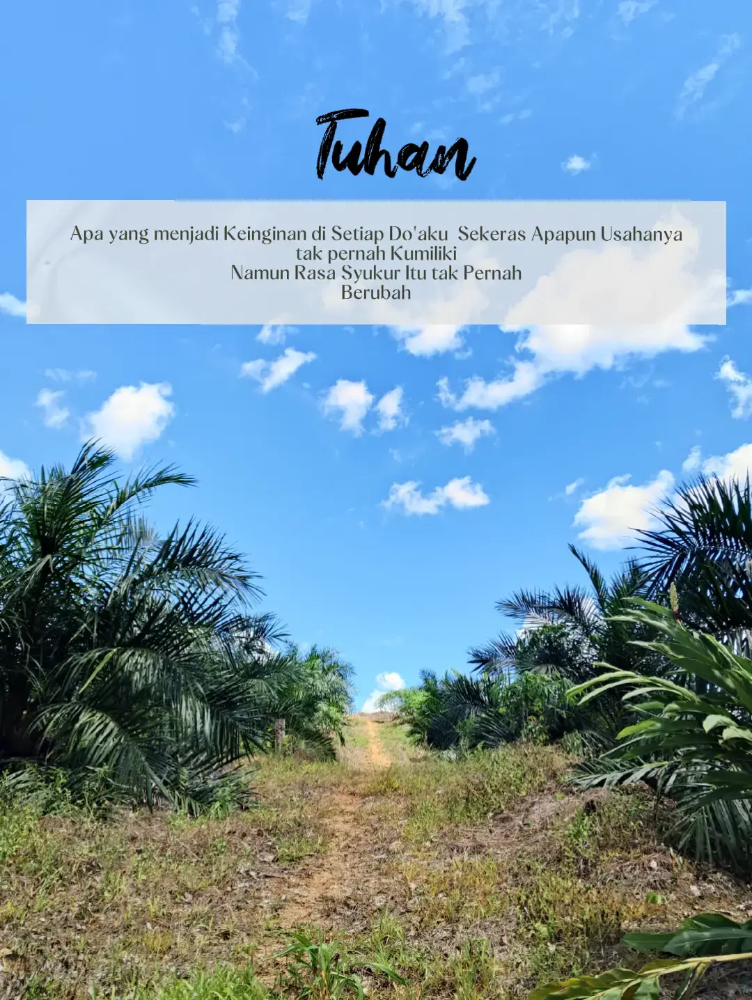 #foryou #viraltiktok #fyp #fyppppppppppppppppppppppp #petanisawit 