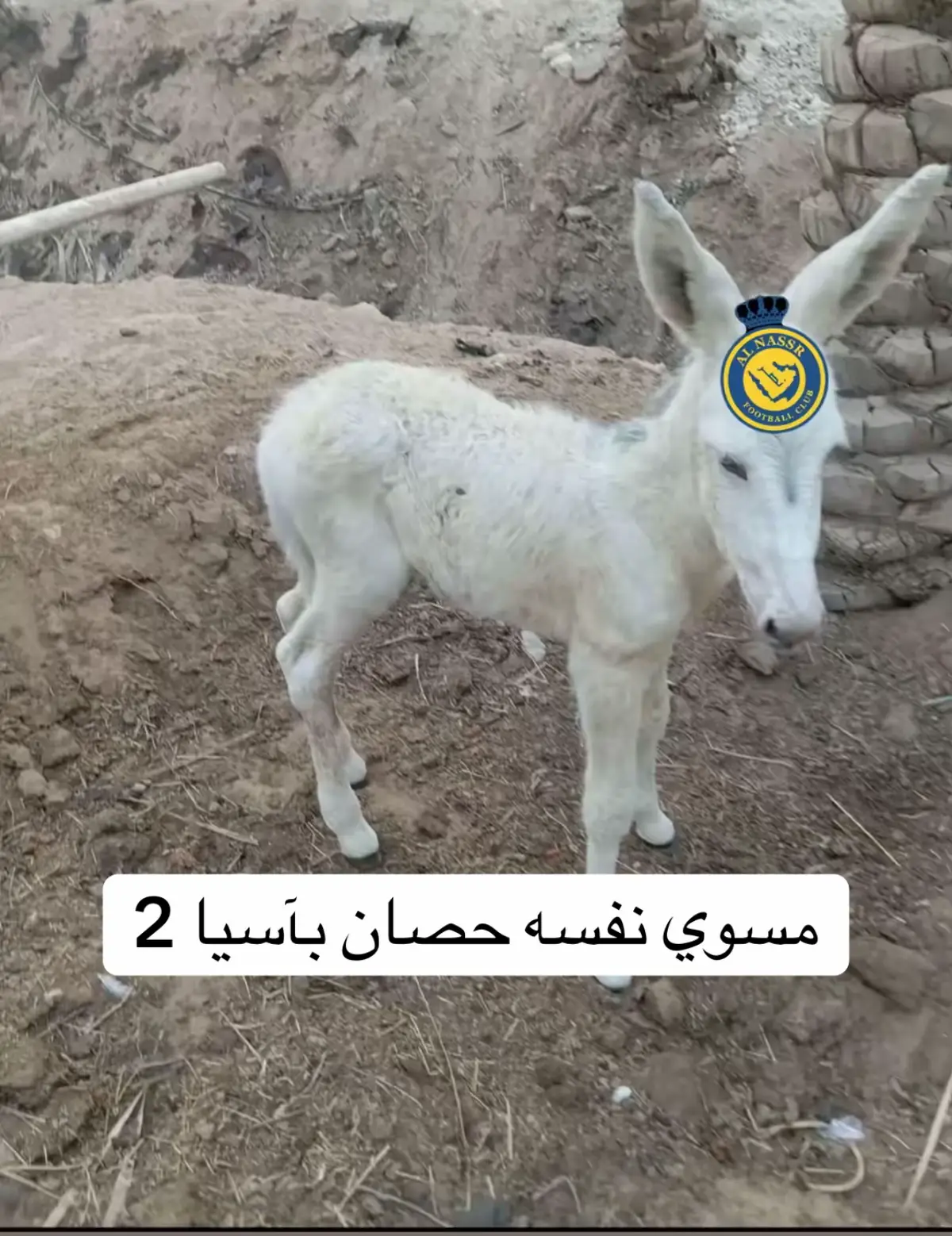 #الهلال #الاتحاد #الاهلي #النصر 