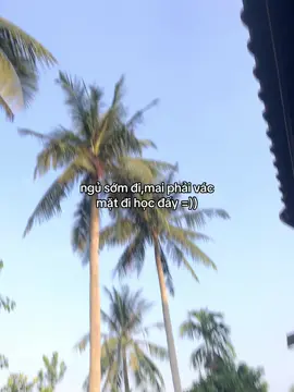 #hoanghaihaysuy #luxuryxuhuong 