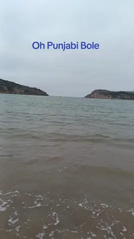 very nice song #honesty #lawofattraction #lovedogs #lovesongs 