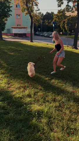 #everything 🫶🏻 