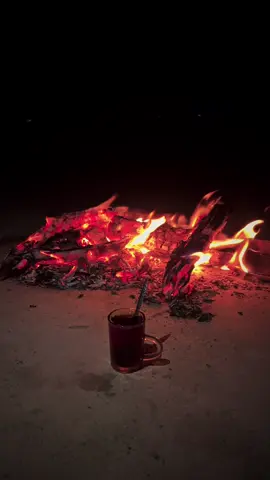 احبك يانضر عيني  (🖤.   #npr1🌚   #فليح🍿 