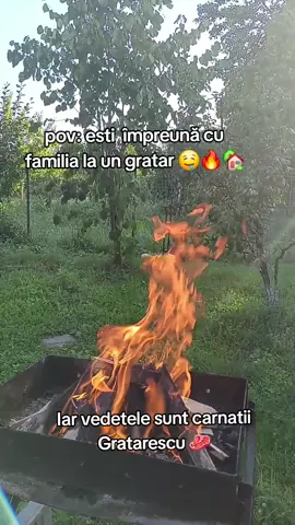 Grătarul este un moment bun de reîntâlnire cu familia🥰🏡. Iar azi va prezint cârnații Gratarescu realizați din carne frageda de porc, asezonata cu usturoi si boabe de muștar ce ii dau un gust intens.👀🥓🥩 Si dacă sunt afumați lent la fum natural  si înveliți  intr-un mat natural ...e Vis Paradis .🥹💯💥 Tu i-ai încercat?🤔 . . @Cris-Tim  @BUZZStore  #viralvideos #gratarescu #myjourney #loveyou #buzzstore 
