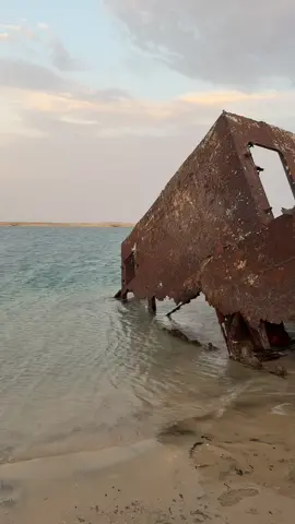 #saudiarabia🇸🇦 #viralvideotiktok #traveltiktok #livingthemoment 