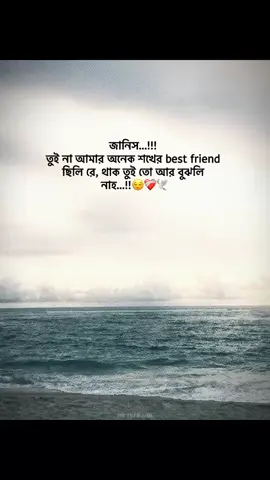 sokher jinish to tai thake nai..!!🖤✨ #fypシ゚viral #trisha_4208 #growmyaccount #foryouppage #bdtiktokofficial @TikTok @tiktok creators 