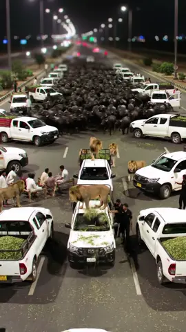 #viralvideo #fypシ゚viral🖤tiktok @AI AUTOMATION 🔥 @Quite Khan @جٹ محکمہ∆ @Sehrish Shafiq Ai @Mr pind 🫶 @Ai Studio @ai video #foryou #trending 