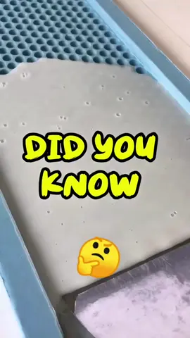Did You Know  #LearnOnTikTok #realfacts #funnytiktok #dumbfacts #foryoupage 