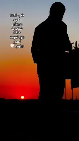 #تصويري📷 #تصويري_احترافي_الاجواء👌🏻🕊 #شعراء_وذواقين_الشعر_الشعبي🎸 #العراق . . . . . #الشعب_الصيني_ماله_حل😂😂 