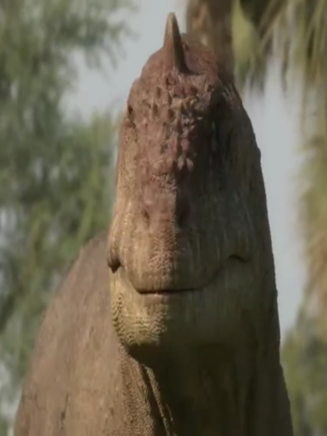 #dinosaur #abelisauridae #niche 