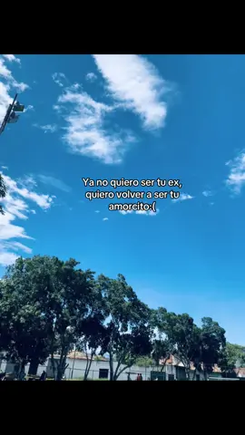 #vuelve #viraltiktok #fyppppppppppppppppppppppp #manifiesto #ex 