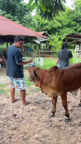 อย่าแกล้งแม่หนูน่ะ#คลิปตลกฮาๆ #ตลกขําขัน #คลิปตลก 