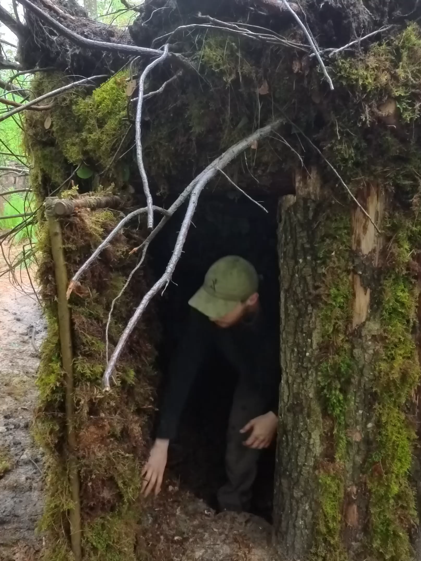 Building a Сozy Shelter Under an Oak Root. Survival, Bushcraft #camping #Outdoors #survival #Bushcraft #FPY #FORYOU